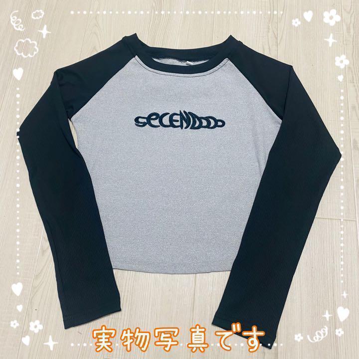 カラー スリムフィット T シャツ L シャツ ショート トップス ロング 秋物
