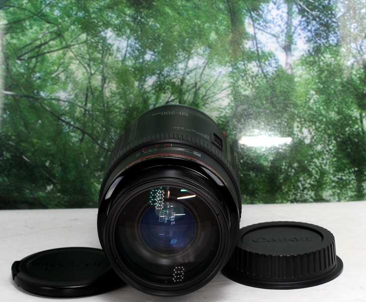 ☆超美品の軽いLレンズ☆CANON EF 50-200mm F3.5-4.5L♪レンズフード付きで気分はプロカメラマン☆
