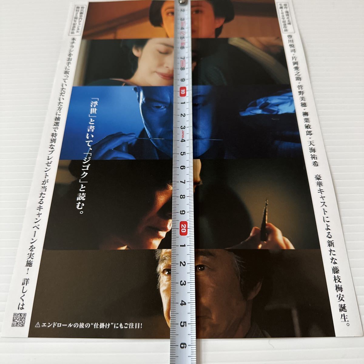 仕掛人 藤枝梅安 劇場版 映画 チラシ B5 Baian the assassin Japanese version movie flyer 豊川悦司 片岡愛之助 菅野美保 柳葉敏郎_画像3