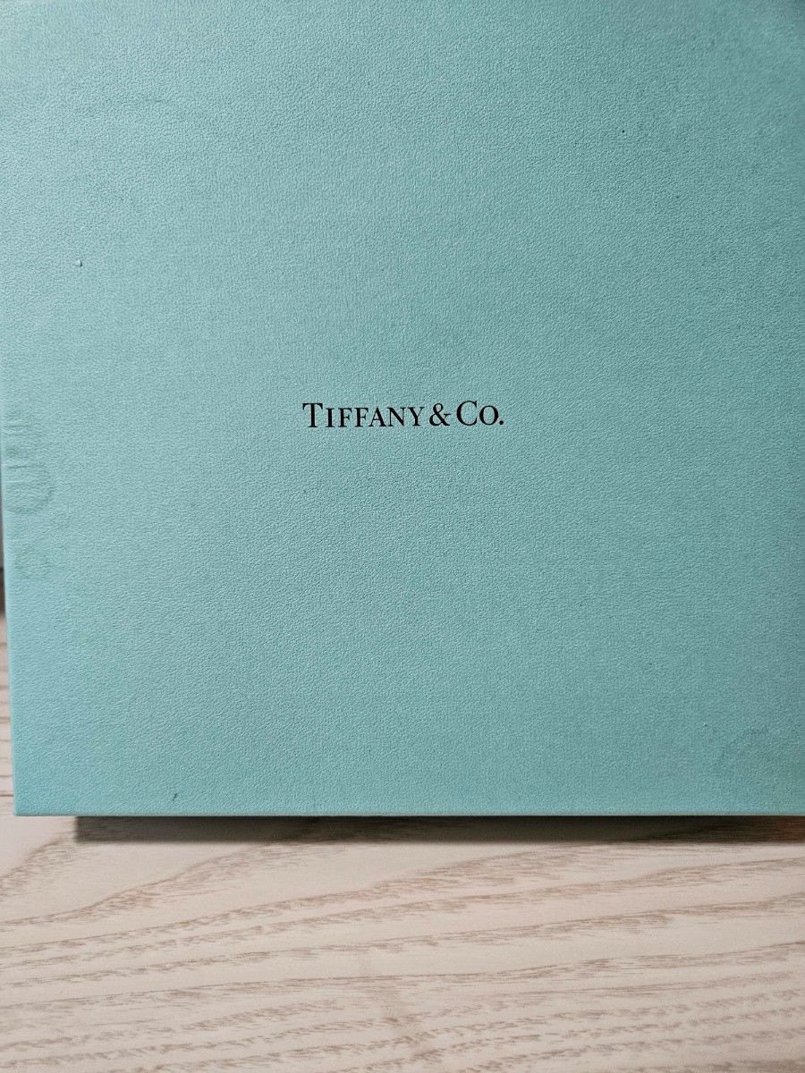 ティファニー TIFFANY&Co. 5t TIFFANY&Co プレート皿 プレート デザートプレート Avenue　二枚組