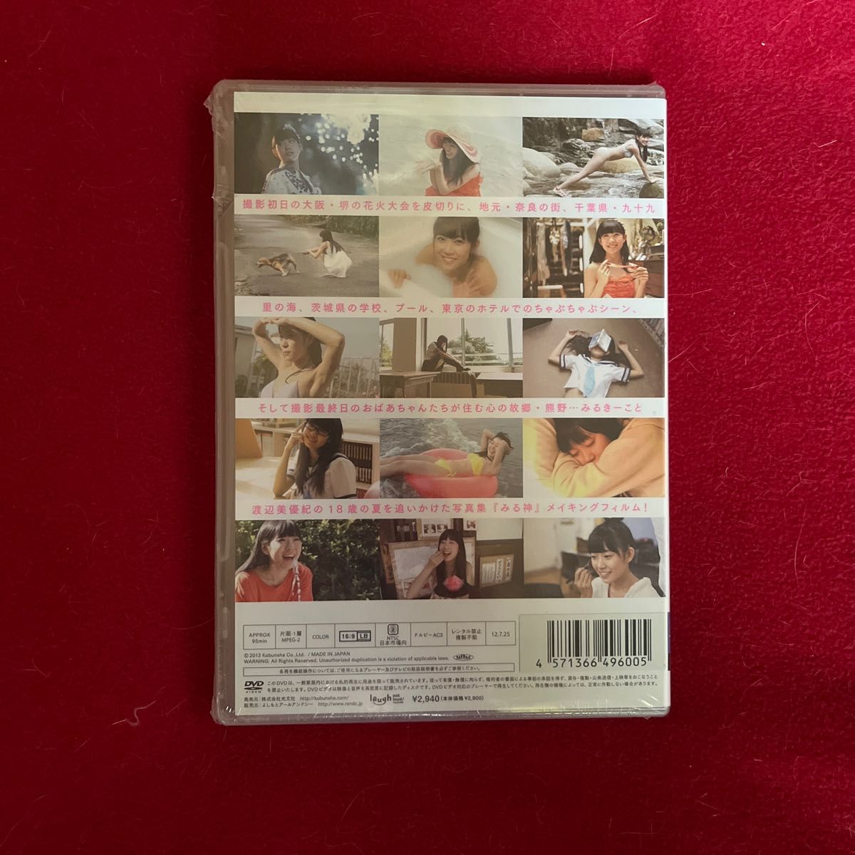 新品　未開封　渡辺美優紀 (NMB48/AKB48) DVD/みるネコ 13/7/2発売 オリコン加盟店