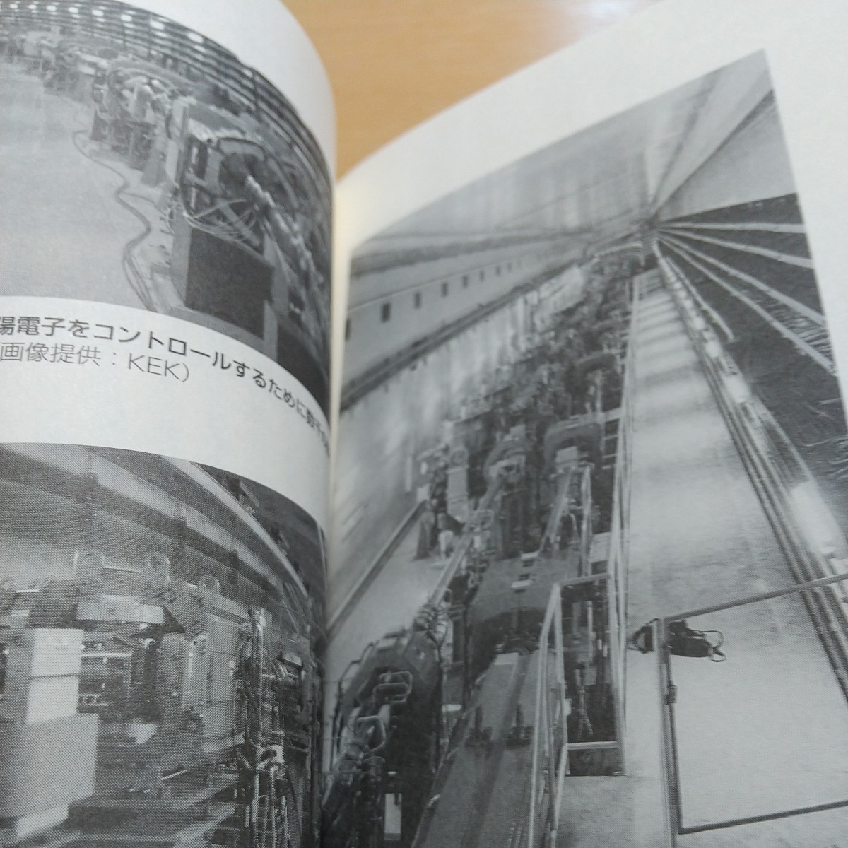 素粒子はおもしろい （岩波ジュニア新書　６９７） 益川敏英／著 中古 01101F023