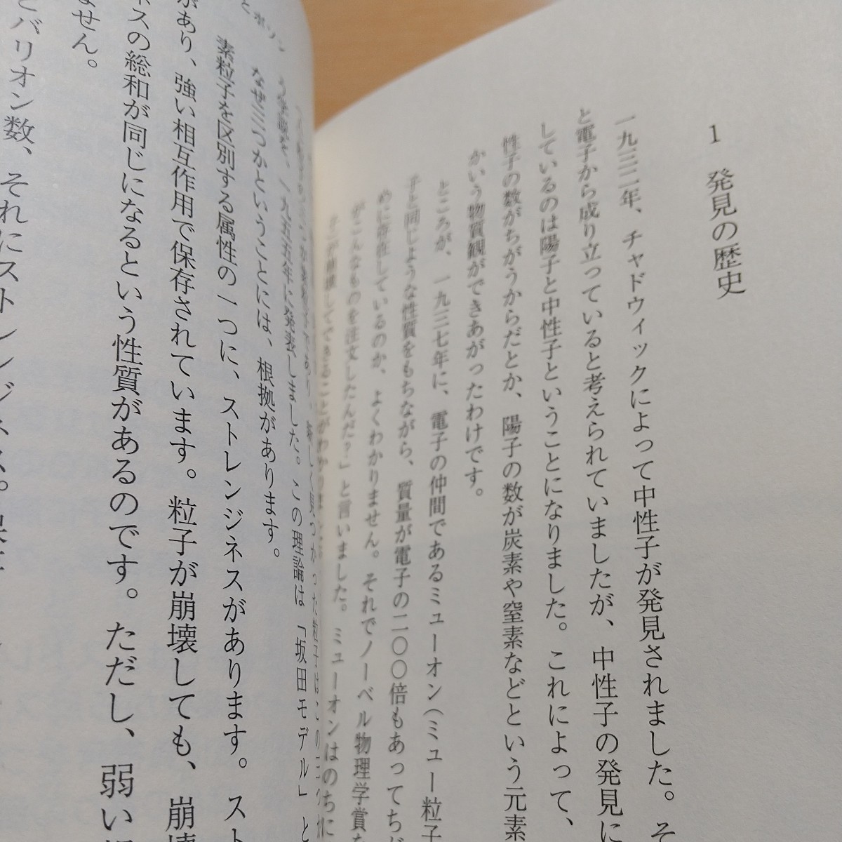 素粒子はおもしろい （岩波ジュニア新書　６９７） 益川敏英／著 中古 01101F023