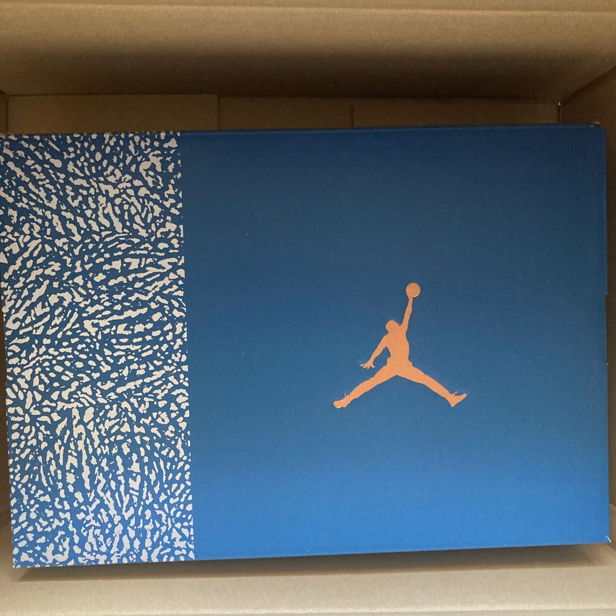 Nike Air Jordan 3 Retro "True Blue and Copper"ナイキ エアジョーダン3 レトロ "ト