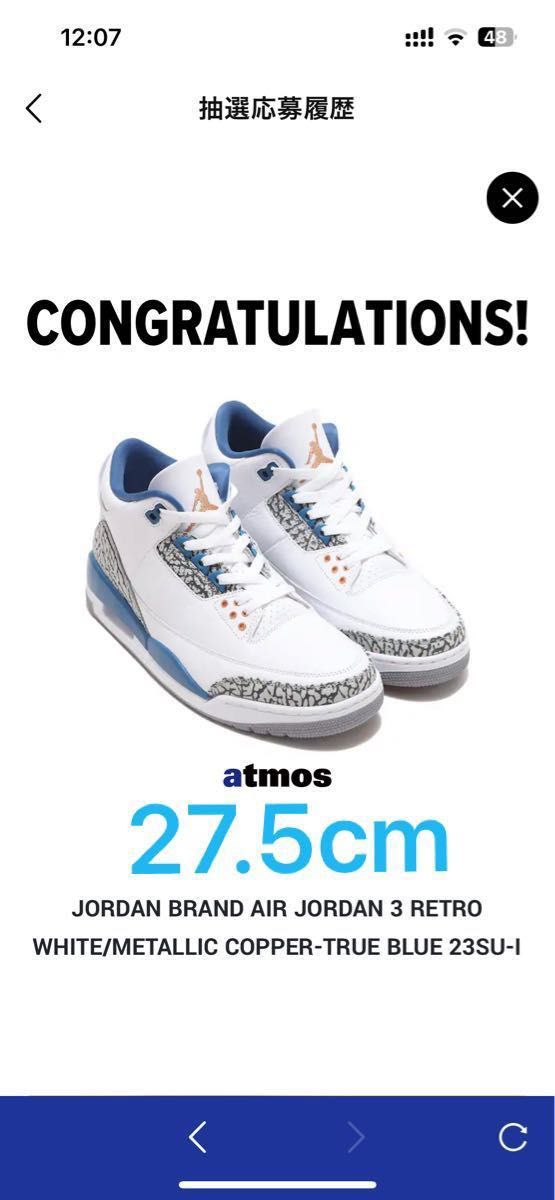 Nike Air Jordan 3 Retro