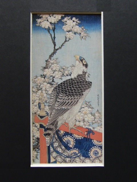 . ornament north .,[ Sakura flower . hawk map ], rare book of paintings in print ..., condition excellent, new goods high class frame attaching, free shipping, Japanese picture Sakura 