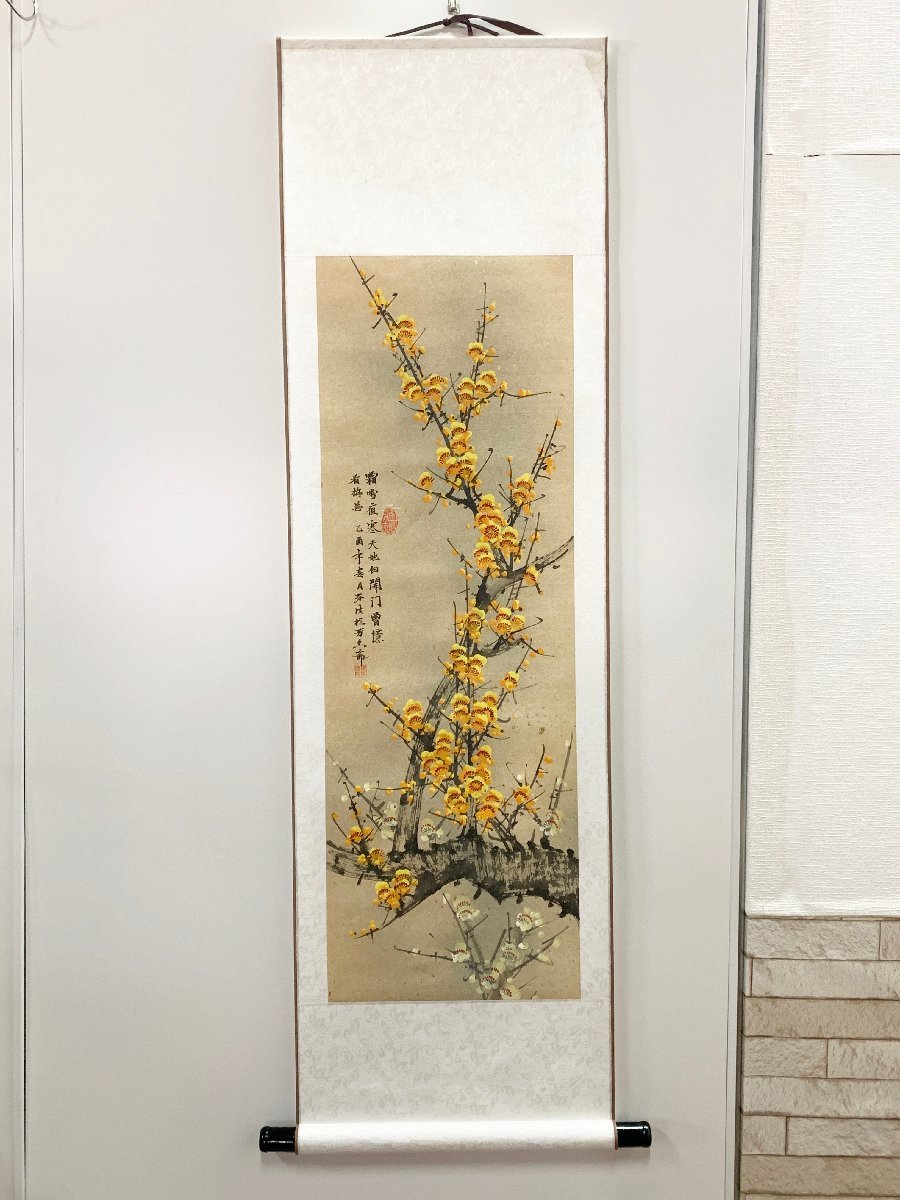  China . yellow plum map .. axis hanging scroll autograph genuine work Zaimei seal have also box work of art old fine art paper .. poetry author unknown 