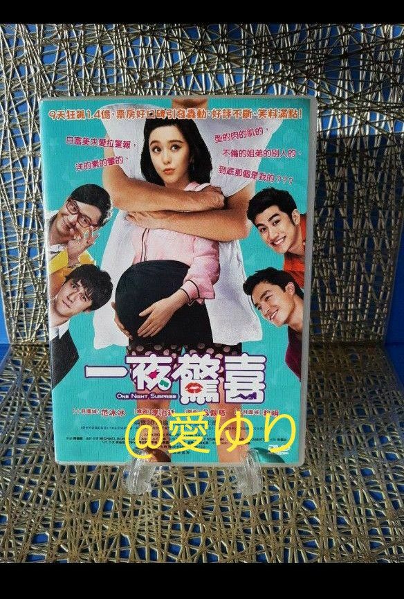 ファン・ビンビン『一夜驚喜 One Night Srprise』台湾版DVD