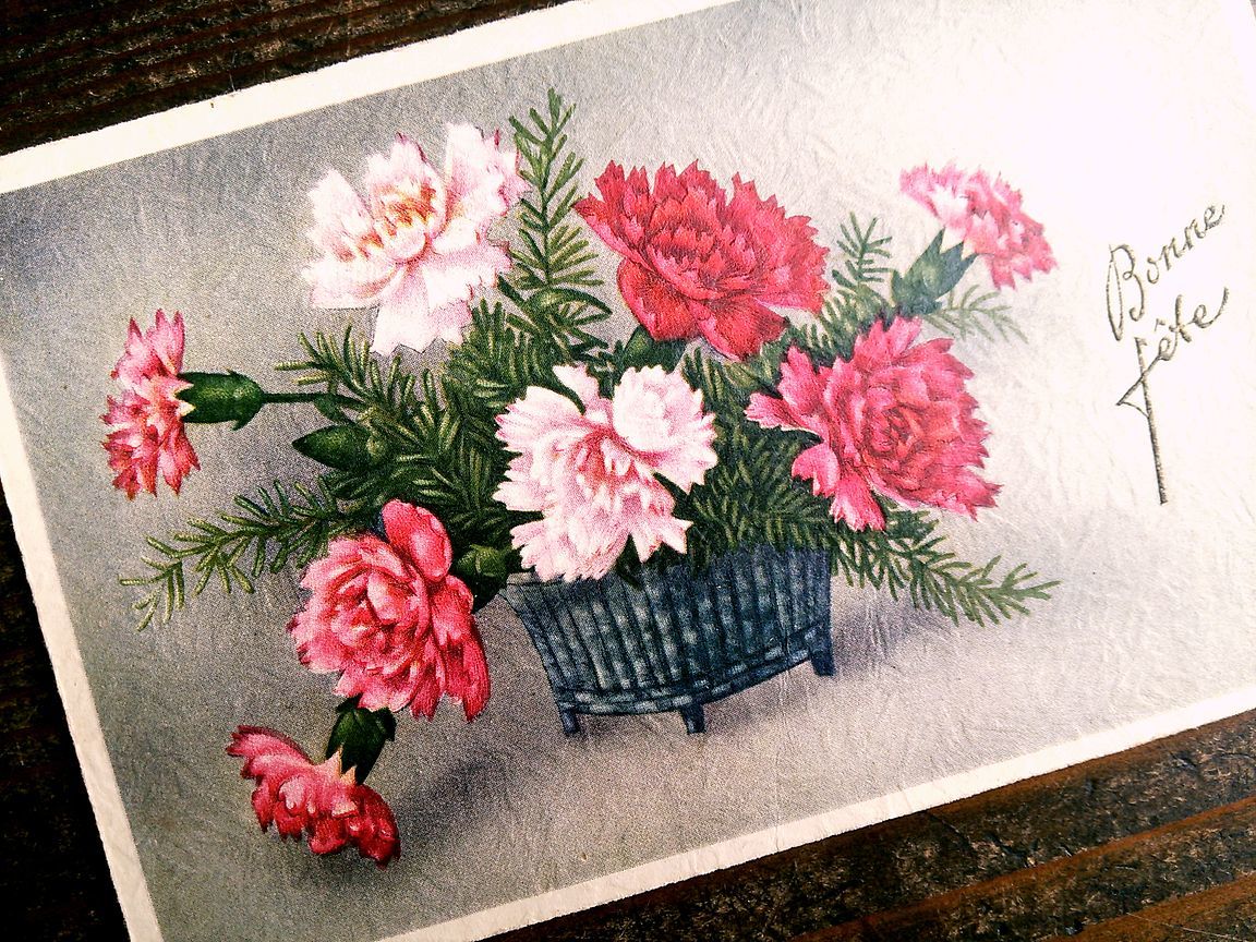 花(5)D59◆カーネーション アンティークポストカード フランス ドイツ イタリア イギリス ビンテージ _画像8