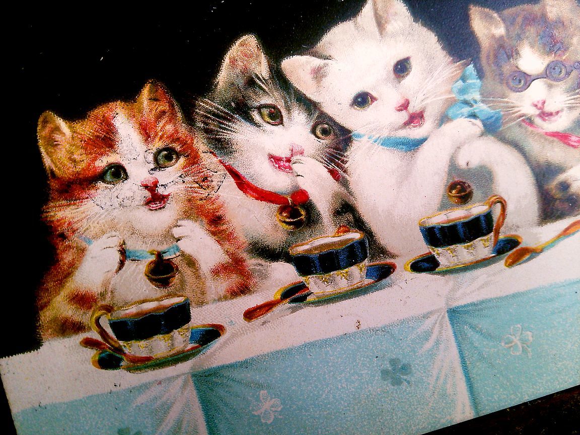 猫(20) U71◆アンティークポストカード フランス ドイツ ベルギー イタリア イギリス ネコ ねこ 子猫 ビンテージ絵葉書_画像4