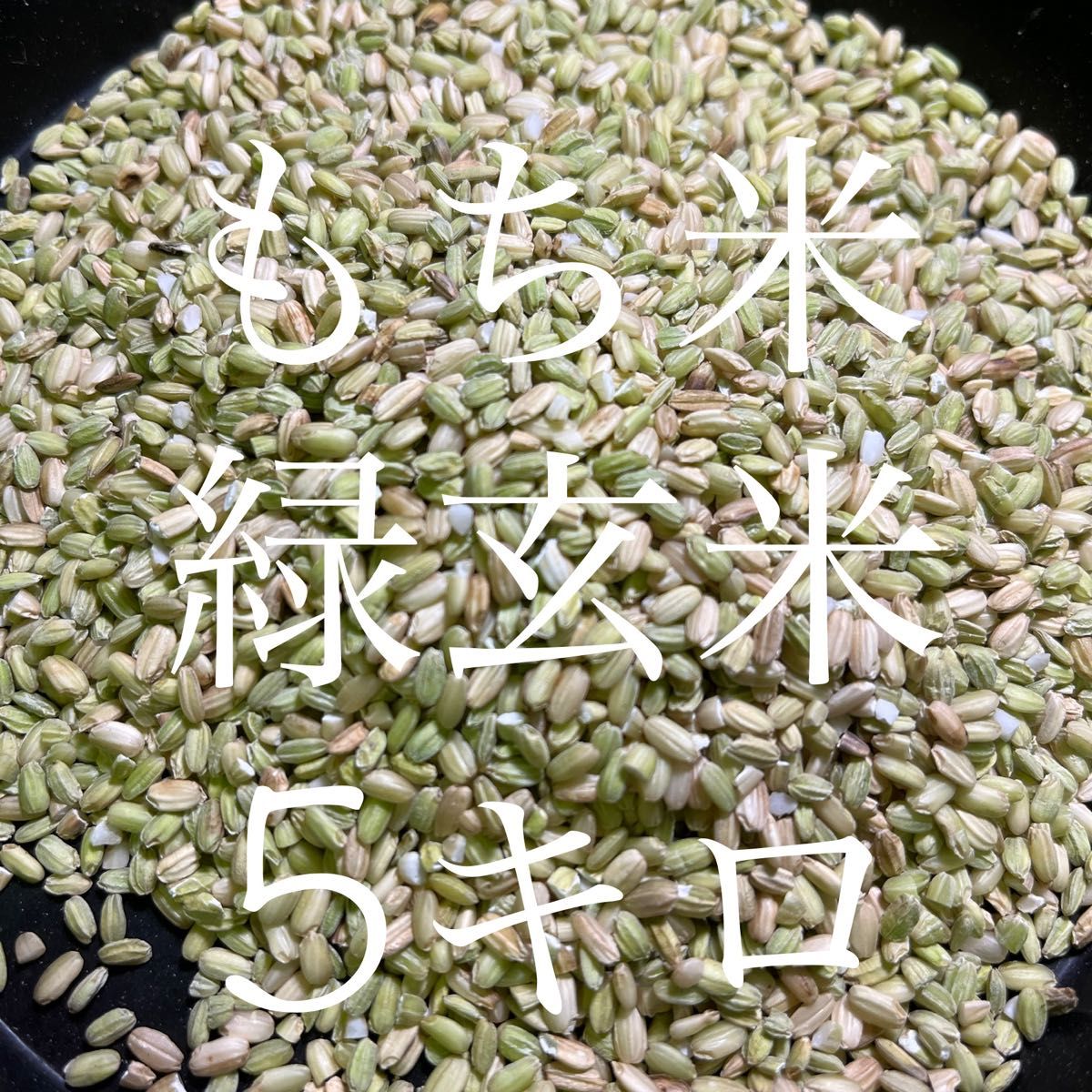 令和5年産　希少な緑玄米（もち米）5キロ　ラスト