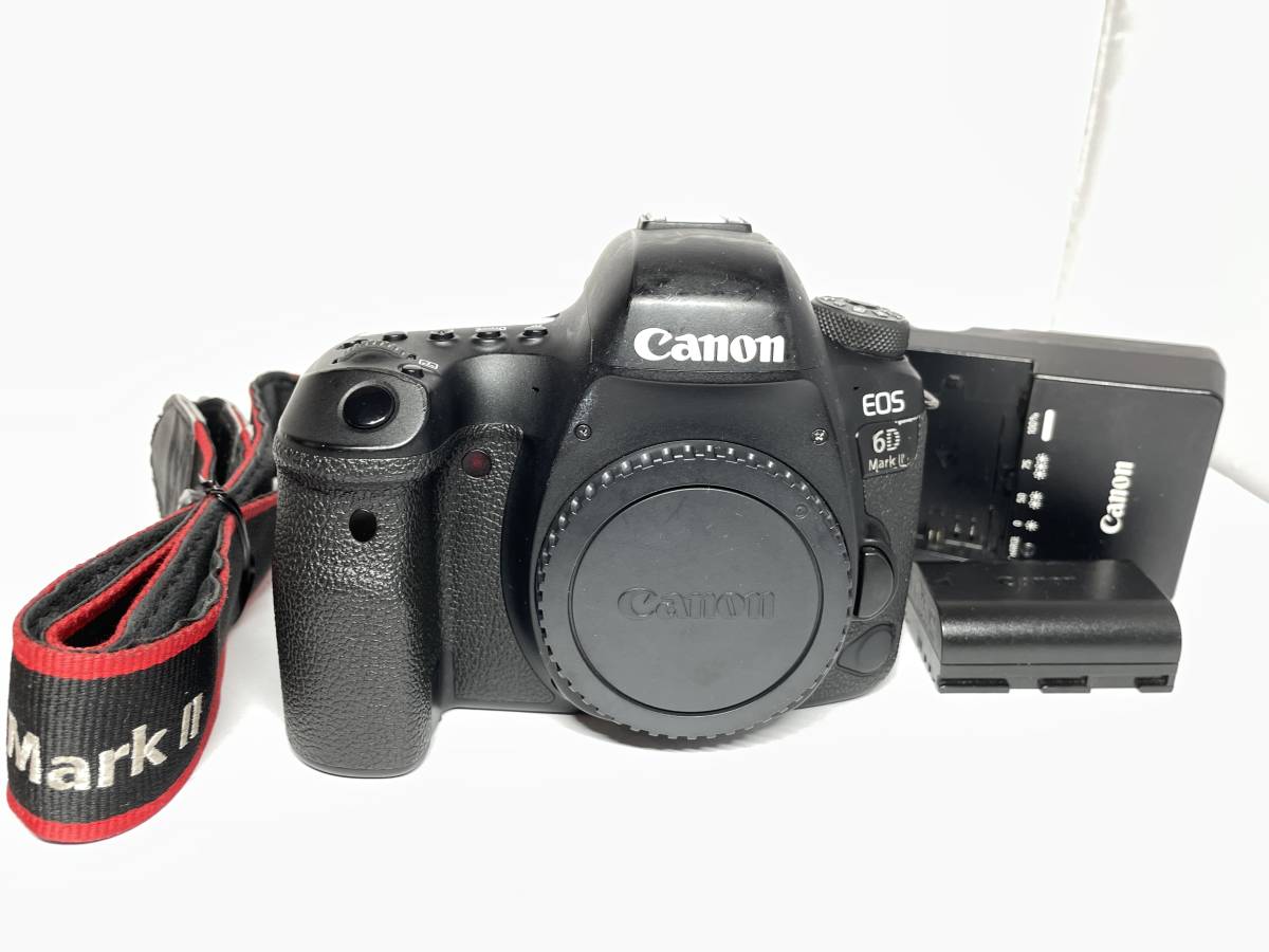 50%OFF キヤノン EOS 6D Mark II ボディ キヤノン - fishtowndistrict.com