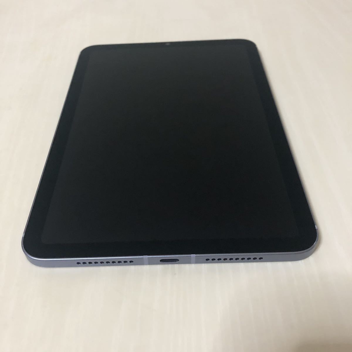 本物保証! / 256GB / 第6世代 mini 【5,000円引きも】iPad Wi-Fi+