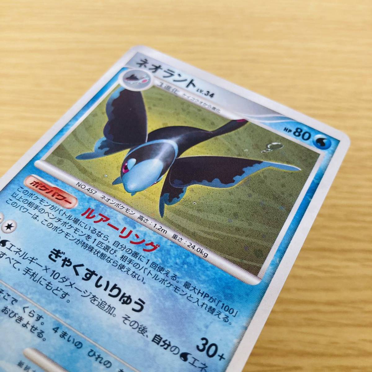 その他 ネオラント キラ ポケモンカード他 ‎在庫あり - ceylonit.lk