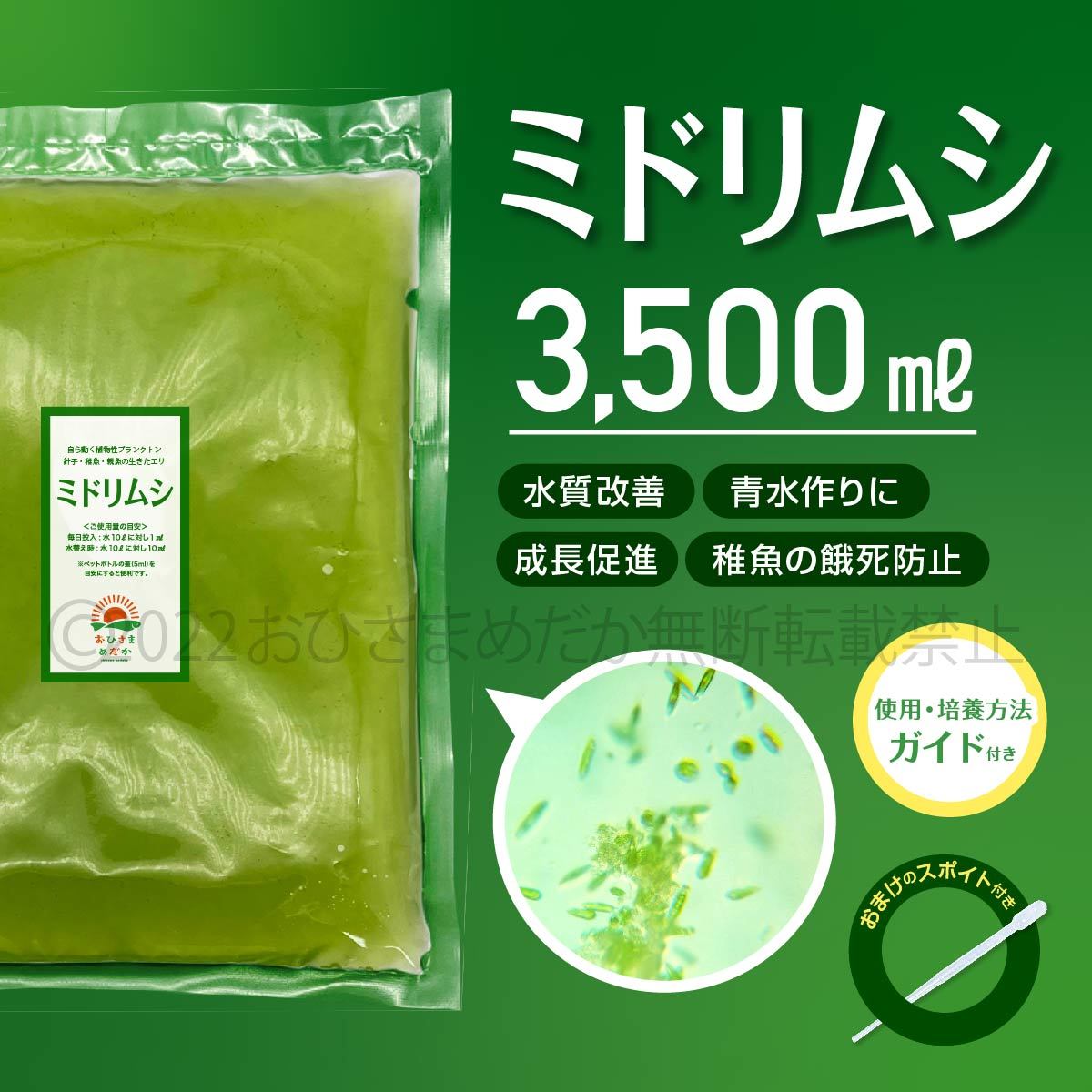 【ミドリムシ　種水　3500ml　送料無料】 めだか　メダカ　針子　エサ 稚魚 ベタ　psb　 金魚　ミジンコ　クロレラ　ゾウリムシ などに_画像1