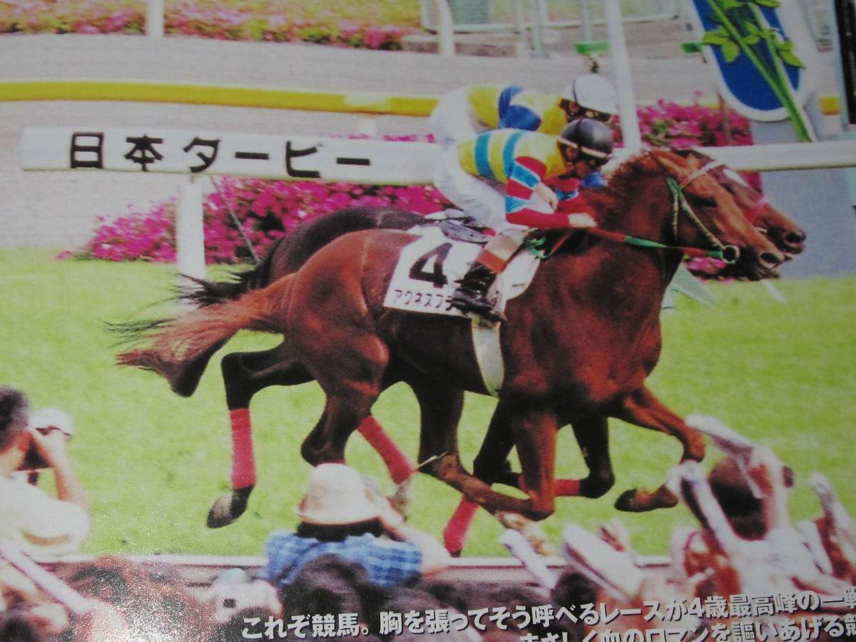 匿名送料無料 ★永久保存版 GALLOP臨時増刊 ☆JRA重賞年鑑 2000 即決！グラスワンダー キングヘイロー アグネスフライト スティンガー_画像5