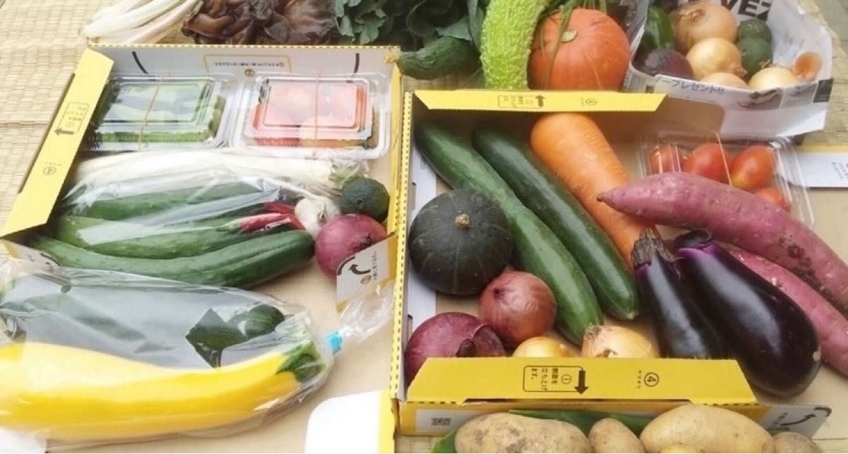 茨城県産野菜詰め合わせ　野菜セット　野菜ボックス　コンパクトボックス