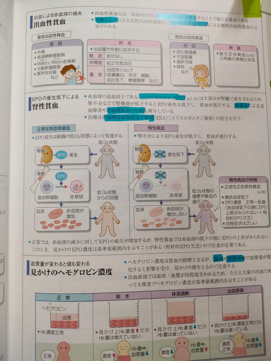 店内全品対象病気がみえる vol.5 血液 医療情報科学研究所 編集 本