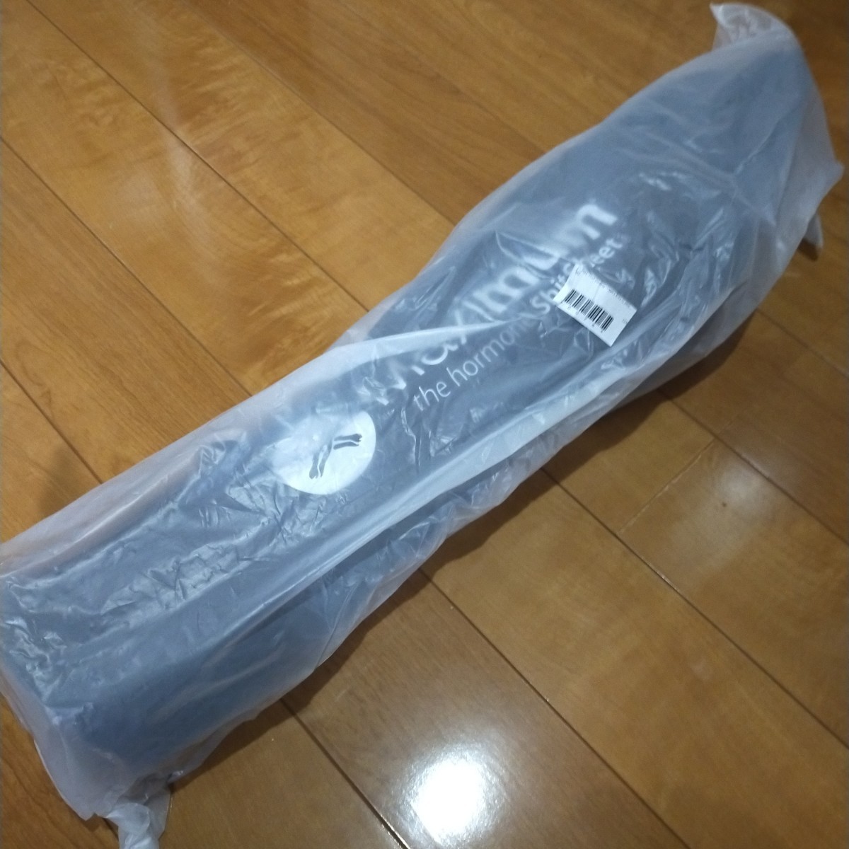 即決送料込□マキシマムザホルモン アウトドアチェア プルーフ無し 未