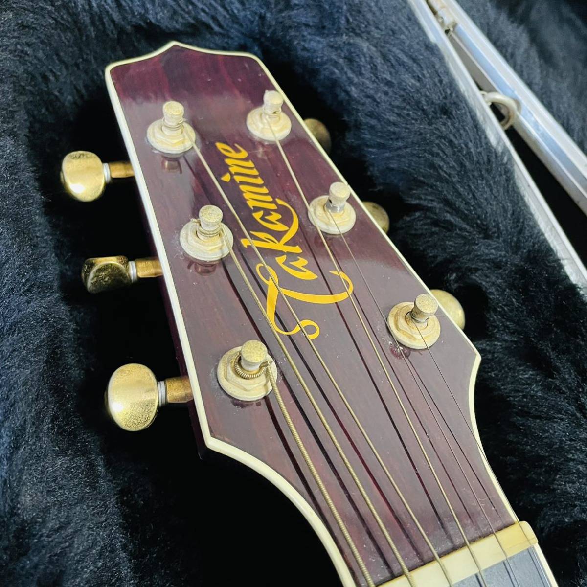 希少】Takamine タカミネ DSP116A RSD エレアコ | 911pchelp.net