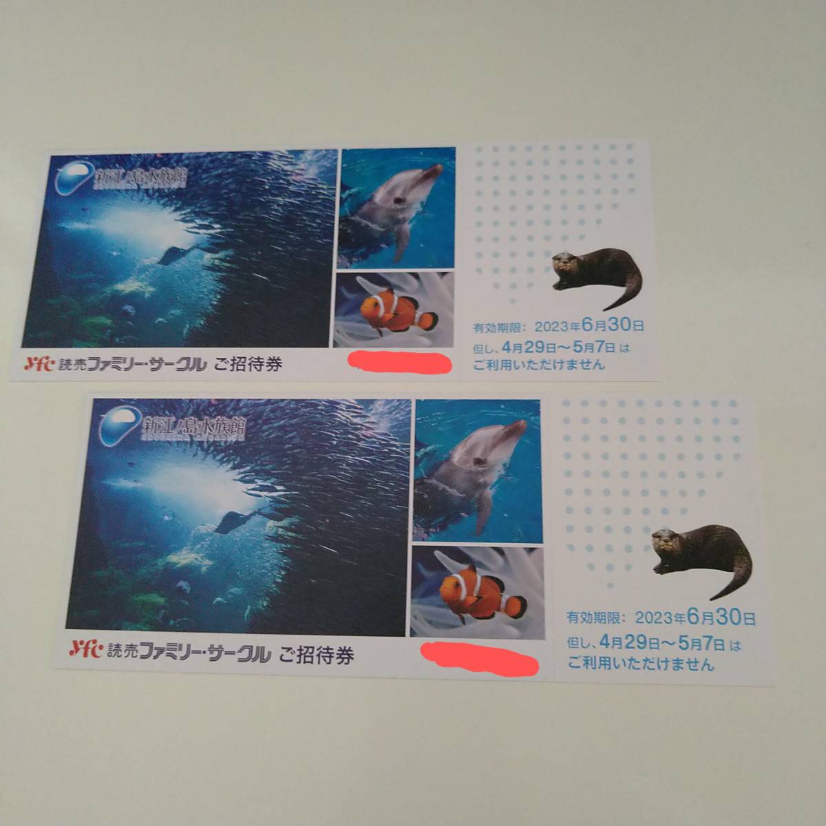 新江ノ島水族館 ご招待券 2枚セット 有効期限2023年6月30日まで A