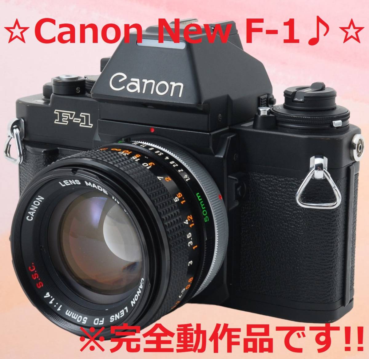 ☆完全動作品!!☆ Canon New F-1 50mm F1.4 #5597 | primarycolours.ie