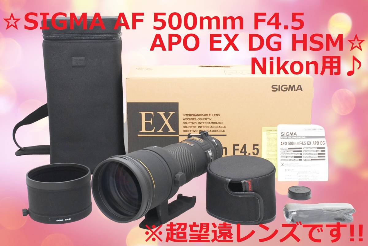 プロの描写力 (Nikon用) SIGMA APO 500mm F4.5 EX DG HSM #5569