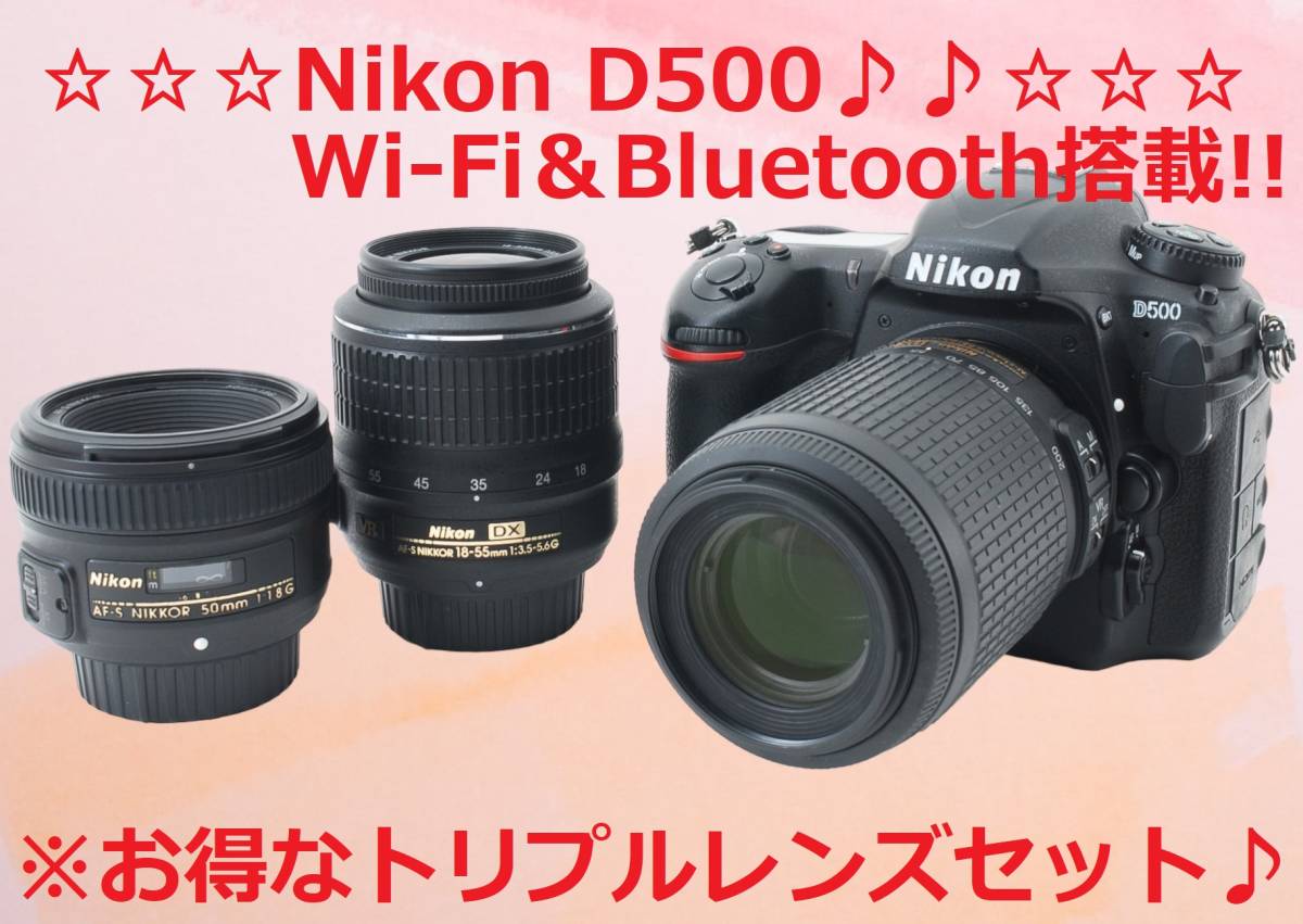 超安い品質 美品♪☆Wi-Fi＆Bluetooth搭載☆ Nikon #5581 D500 ニコン