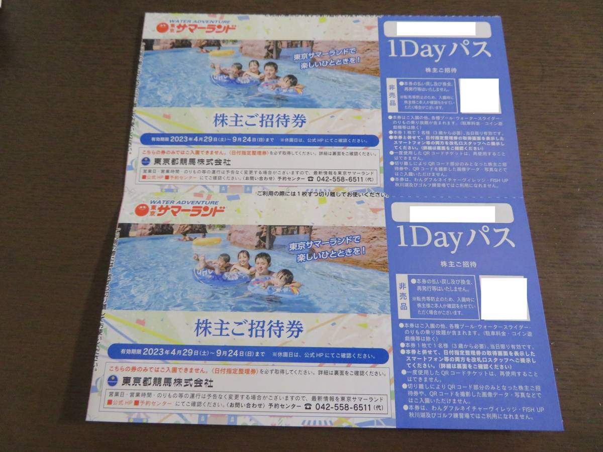 ☆ 東京サマーランド 株主ご招待券 2枚 ペア 1Dayパス 東京都競馬 株主