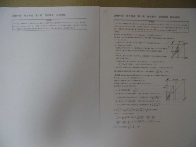 ☆未使用☆♪東進(東大特進コース)♪高3 第Ⅰ期講座2020“東大特進理系数学(第1、2日目)問題＆解答＆追加問題”_☆追加問題＆解答です☆