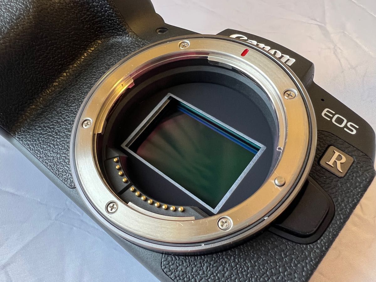 CANON EOS RP ボディ 美品 | noonanwaste.com
