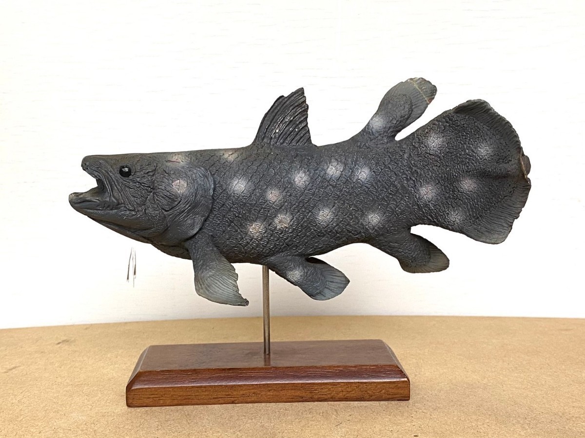 Yahoo!オークション - 海洋堂ARTPLA『シーラカンス』フィギュア Yahoo!オークション - 海洋堂ARTPLA『シーラカンス』フィギュア