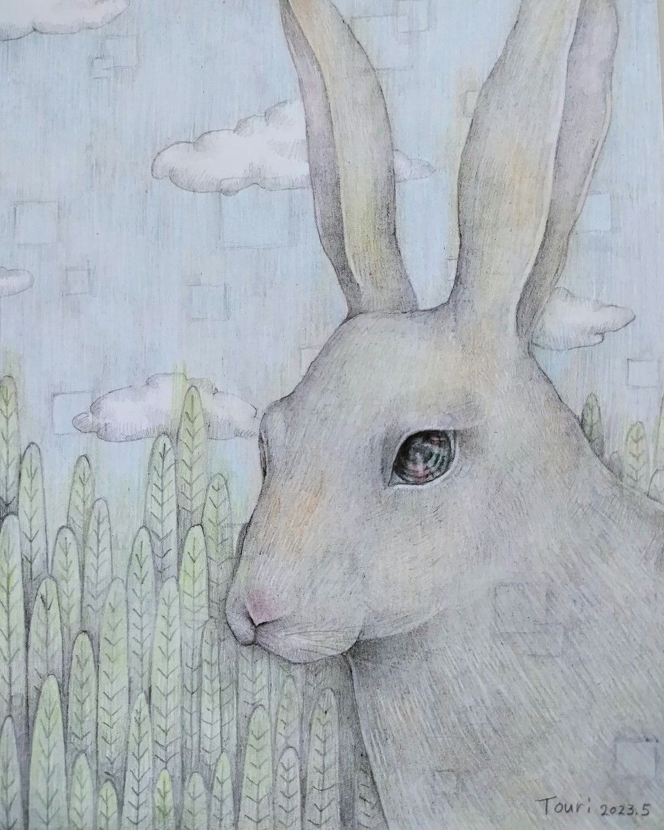 ウサギ うさぎ 兎 原画 絵 鉛筆画 手描き イラスト モノクロ 野うさぎ