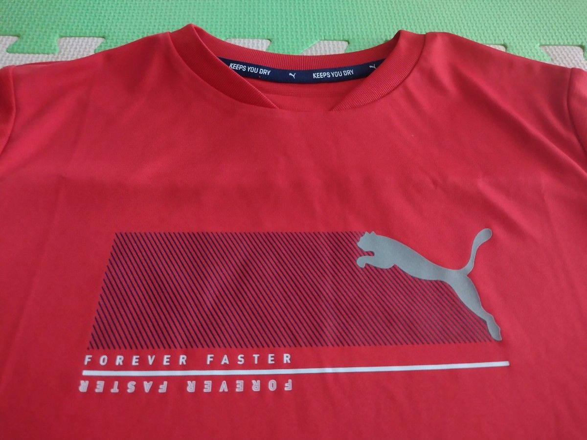 PUMA プーマ 半袖Tシャツ 150cm