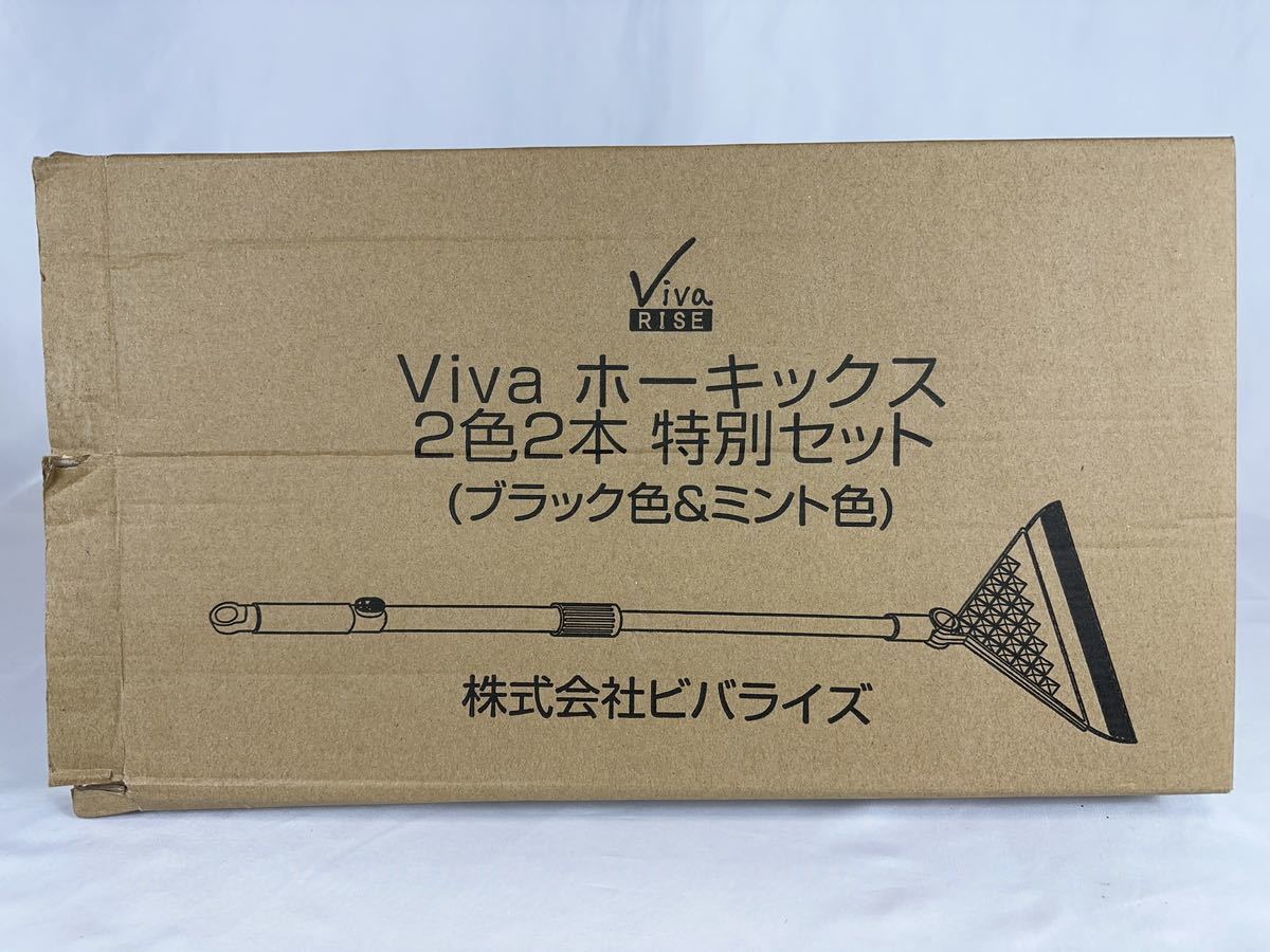 ビバライズ 隙間がないマルチなほうき Viva「ホーキックス」２色２本セット_画像7