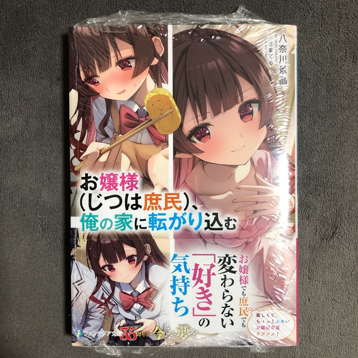お嬢様〈じつは庶民〉、俺の家に転がり込む 新品