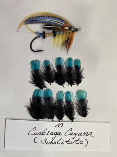 Substitute Cotinga Cayana Feathers For Classic Atlantic Salmon Fly Tying 海外  即決 - スキル、知識