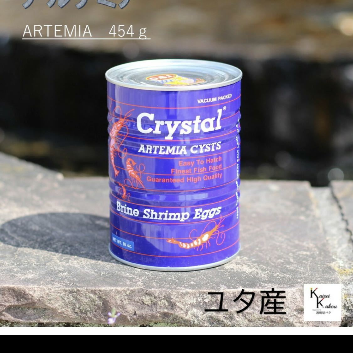 ブラインシュリンプ　アルテミス　ユタ産　ソルトレイクシティ