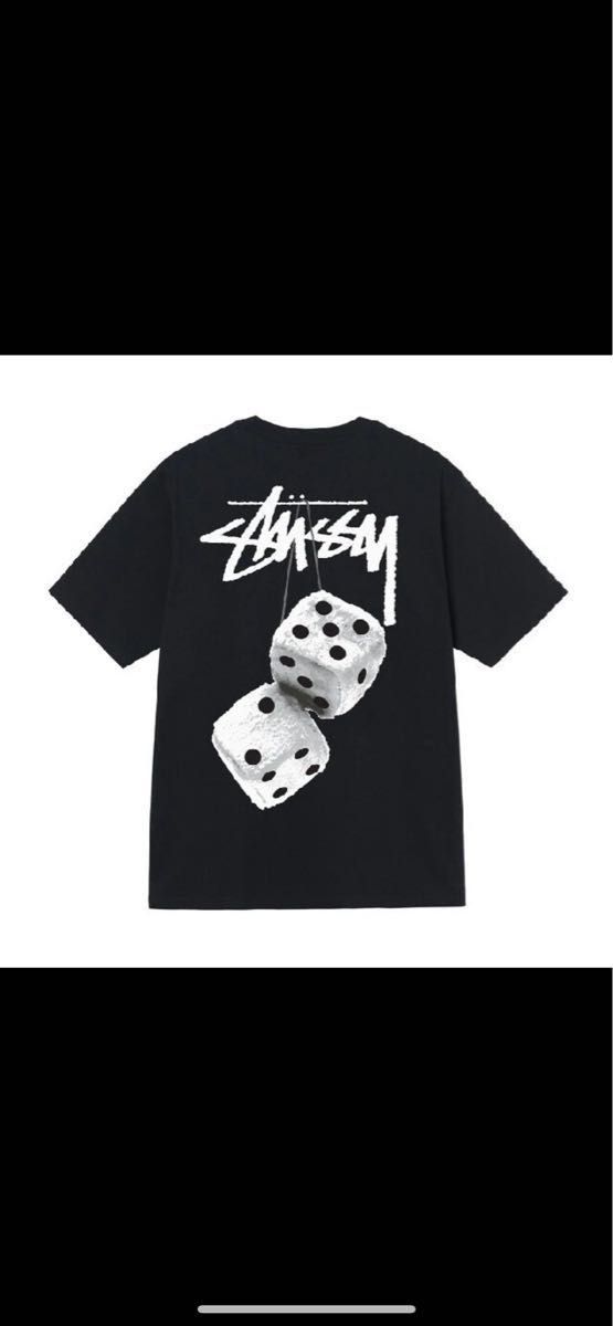 【STUSSY】FUZZY DICE TEE(BLACK)