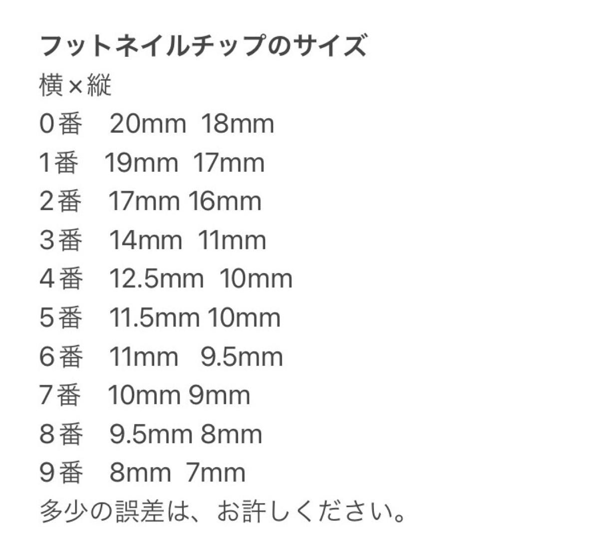 フット　ネイルチップ　ペディチップ　ジェルネイル　2セット　1469