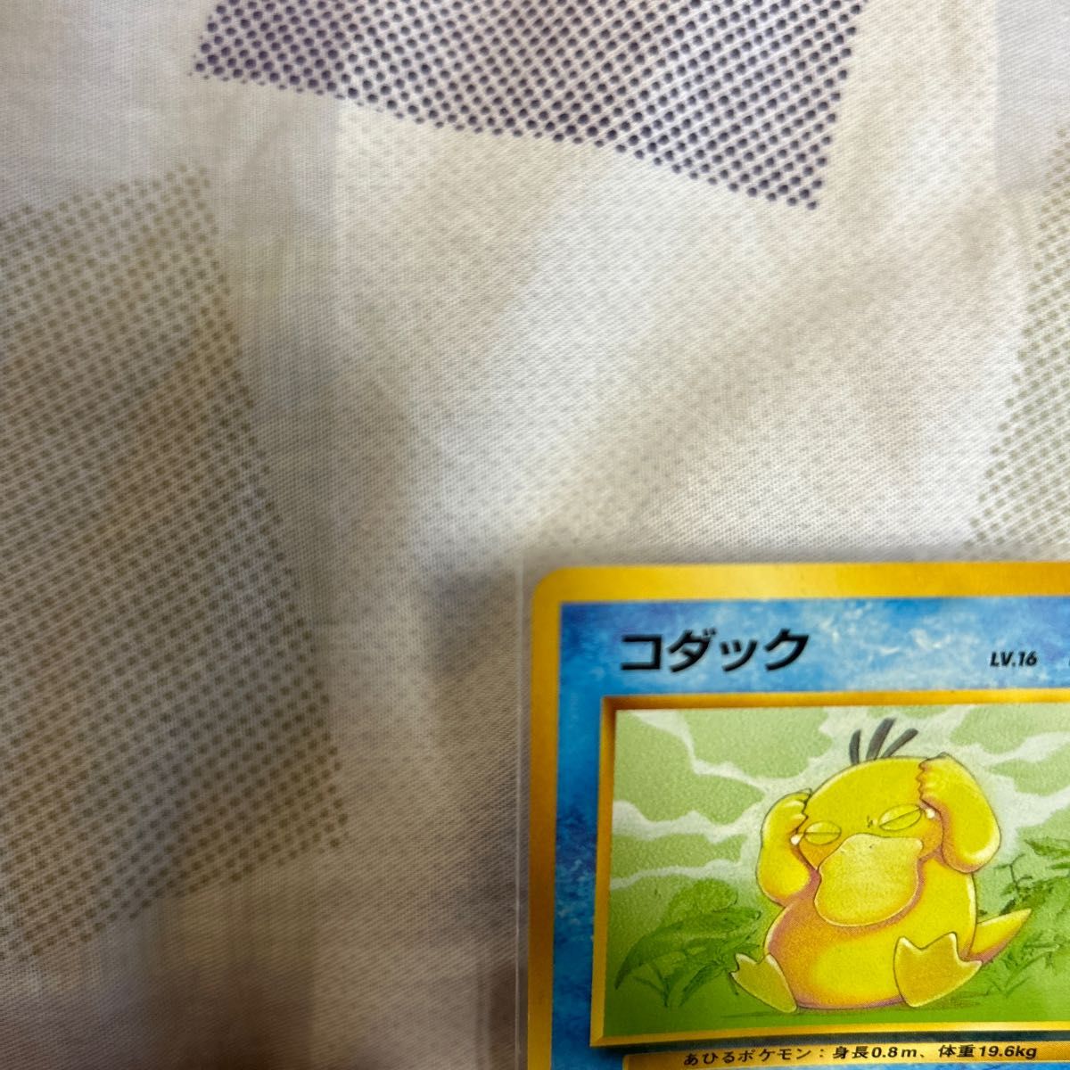 ポケモンカード コダック 旧裏|Yahoo!フリマ(旧PayPayフリマ) ポケモンカード コダック 旧裏|Yahoo!フリマ(旧PayPayフリマ)