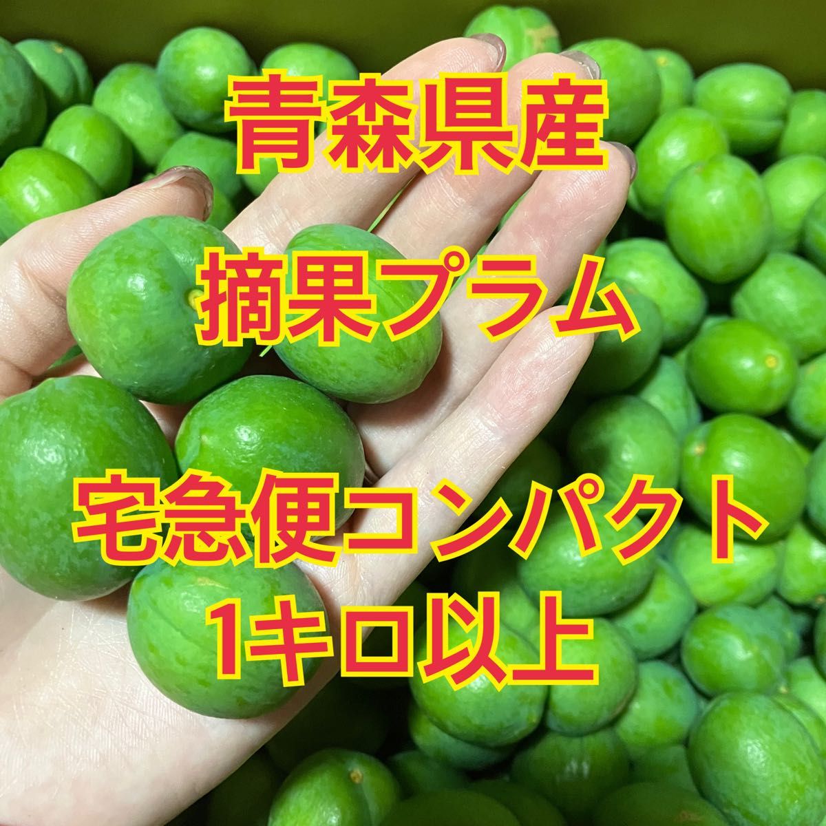 青森県産 プラム すもも 大石早生 1kg 箱込み 果物 | lmprun.re