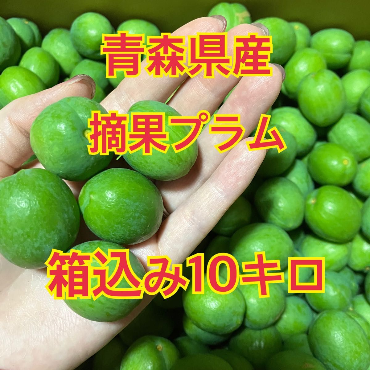 青森県産 摘果プラム すもも 箱込み10キロ|PayPayフリマ 青森県産!摘果プラム すもも 箱込み10キロ