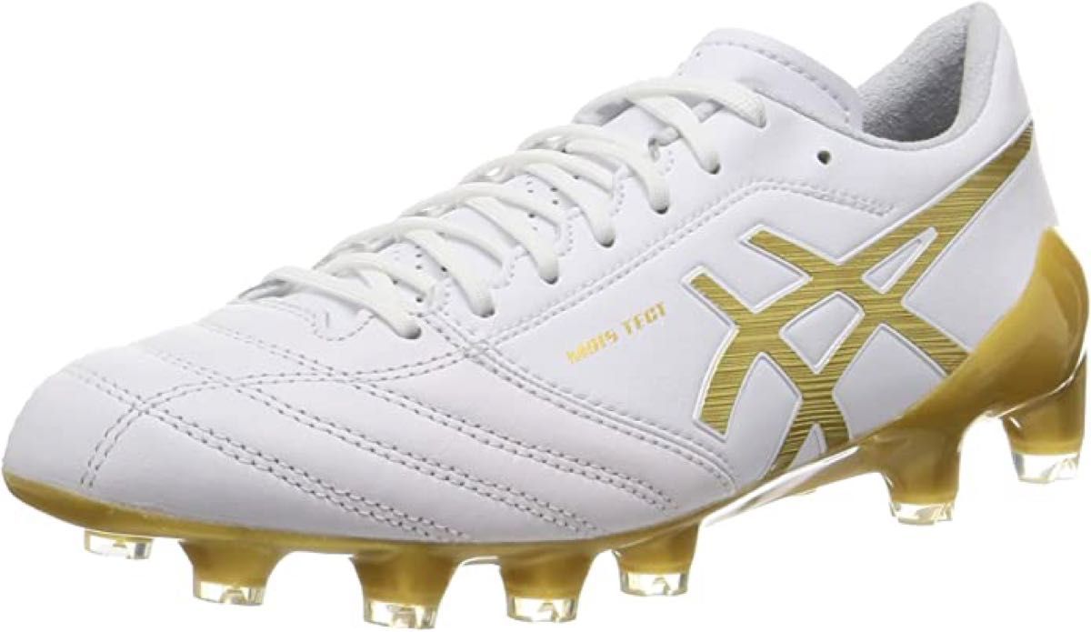 アシックス/DS LIGHT X-FLY 4 【サイズ26.0cm】 | alfasaac.com