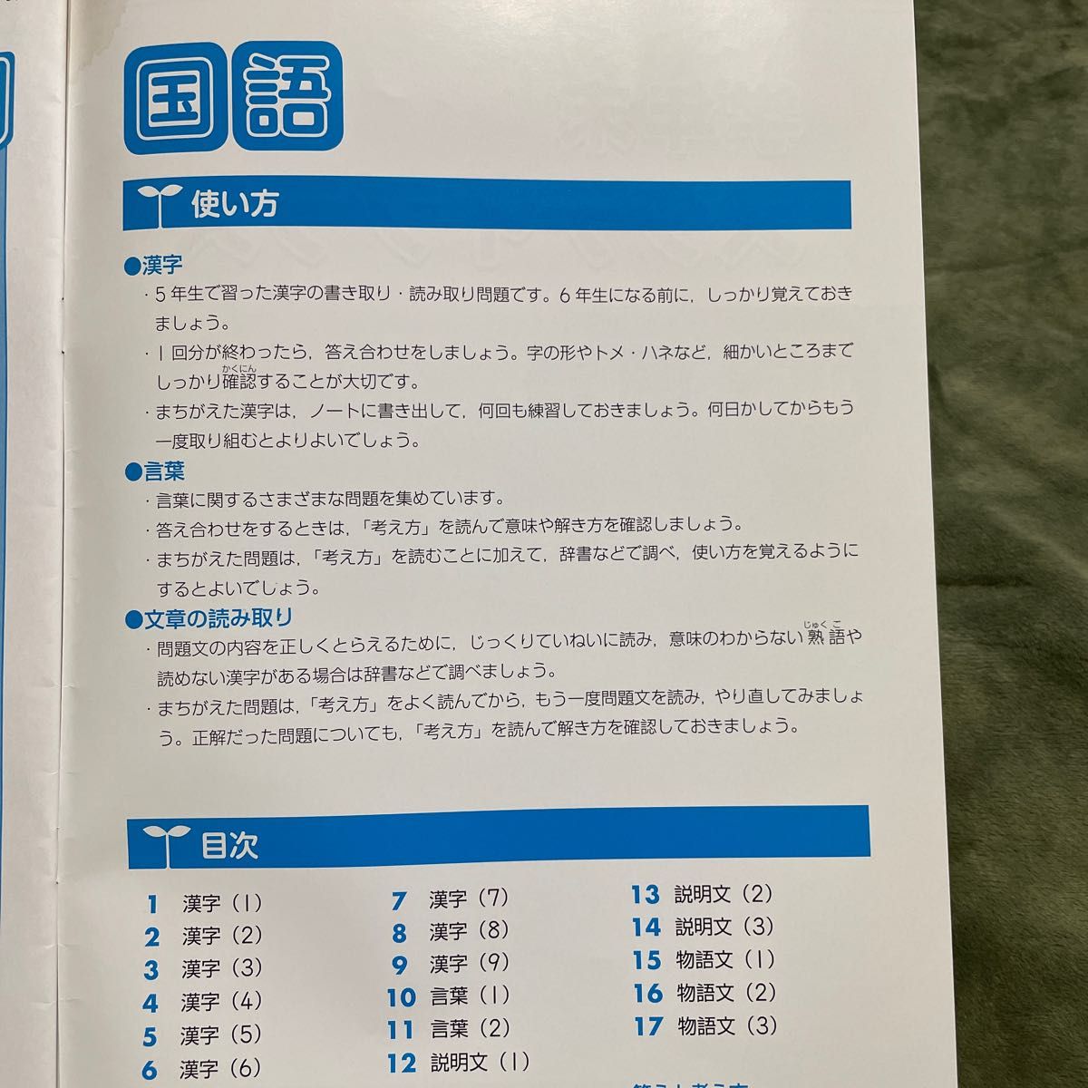 Z会問題集　小学５年　エブリスタディ　英語　国語　漢字　ドリル 中学受験