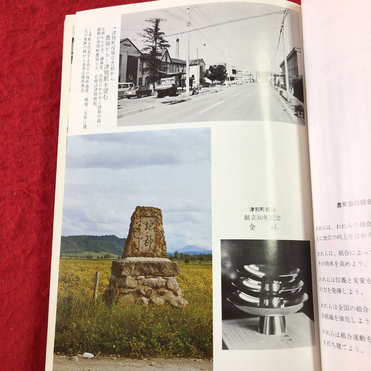 S6e-207 津別町農協史 昭和53年12月20日 発行 社史 資料 経営 北海道 津別町 農業協同組合 開拓 農家 事業 団体 学校 インフレ 管理 運営_画像6