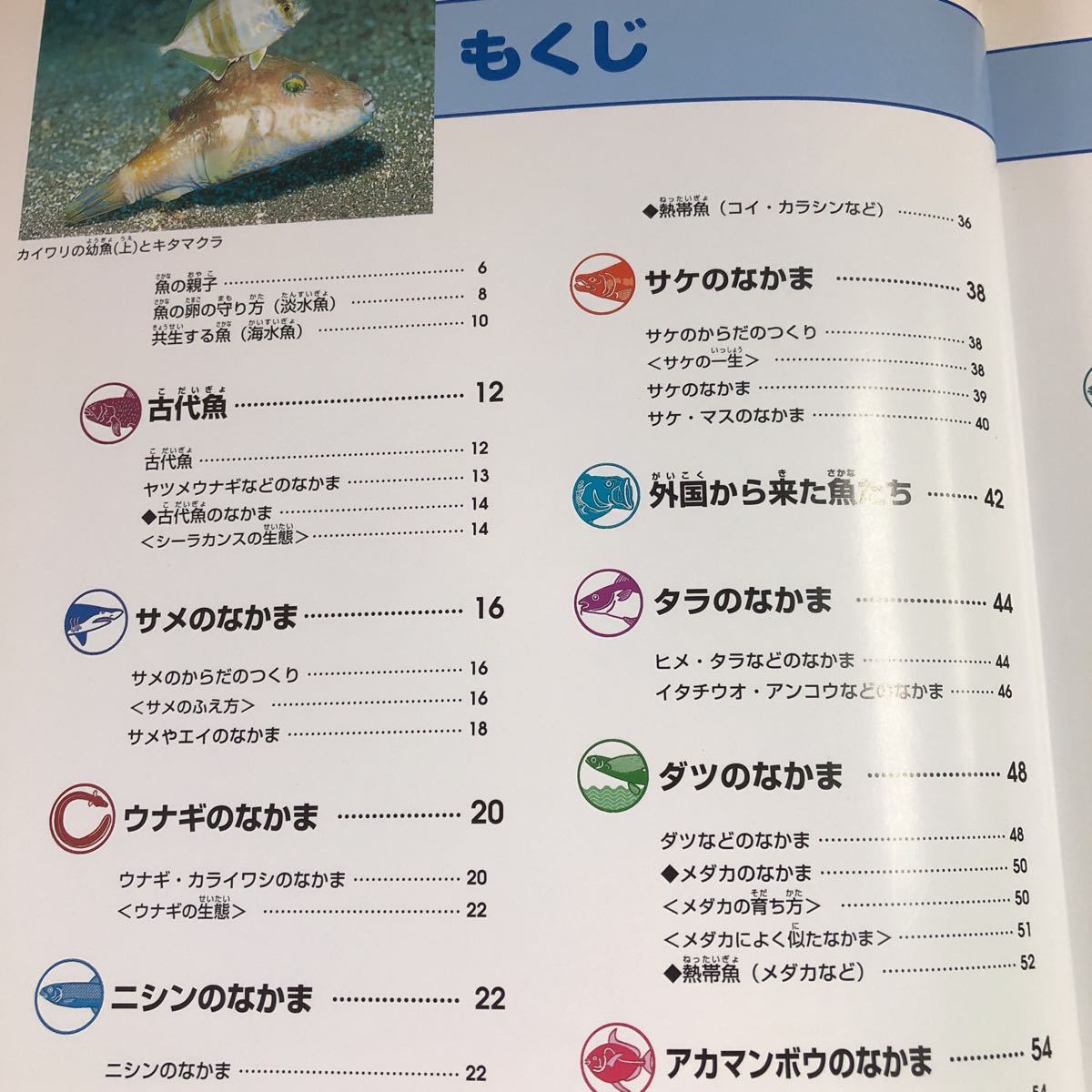 S6f-005 魚 ニューワイド 学研の図鑑 2002年7月15日 第8刷発行 学習研究社 図鑑 生態 古代魚 サメ ウナギ ニシン コイ サケ 外来種 深海魚_画像3