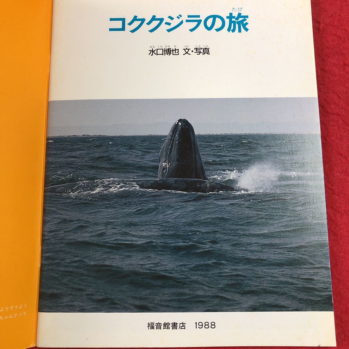 S6f-131kok whale. . monthly many. ... through volume 40 number 1988 year 7 month 1 day issue luck sound pavilion bookstore picture book study photograph whale mammalian observation Alaska history 