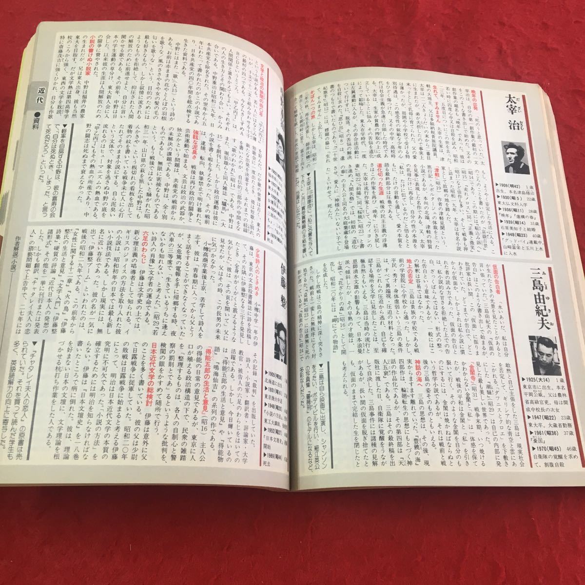 S6f-151 大修館国語要覧 増補版 三谷栄一峯村文人 事典 国語 古文 現代文 誌 詩人 俳句 俳人 短歌 歌人 随筆 和歌 文学史 大修館書店_画像4