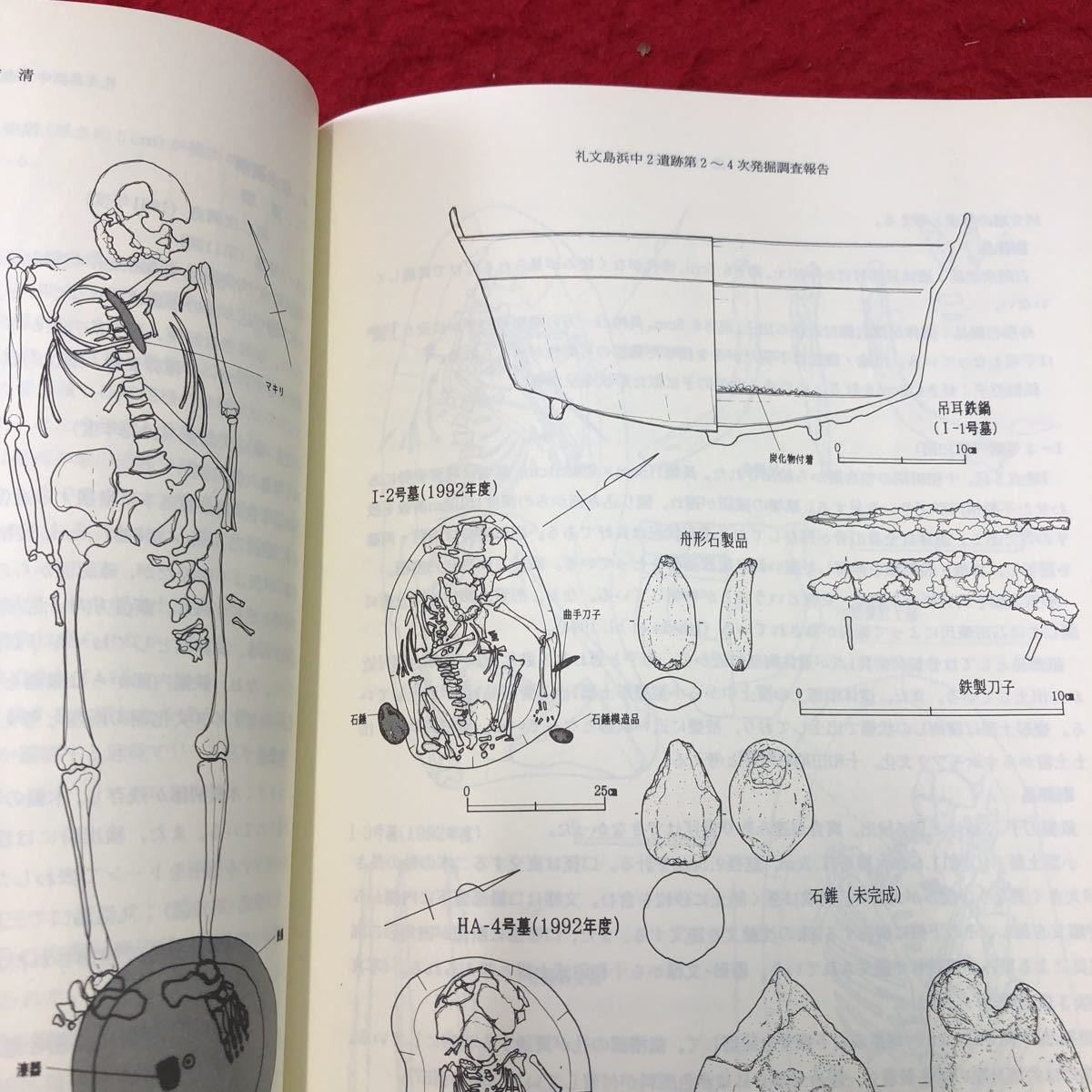 S6g-224 筑波大学 先史学・考古学研究 第13号 2002年3月 発行 考古学フォーラム 雑誌 論文 歴史 考古学 遺跡 土器 分析 考察 化石 調査_画像8